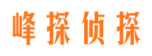 杏花岭市侦探调查公司